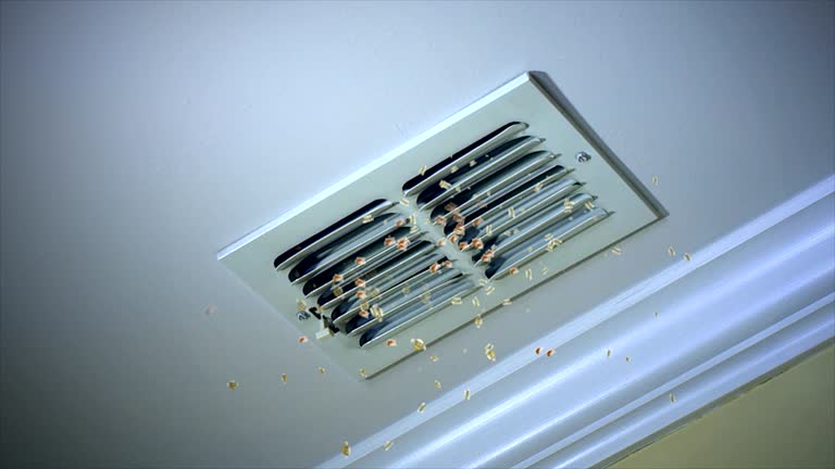 Best Affordable Air Duct Cleaning  in The Homesteads, TX