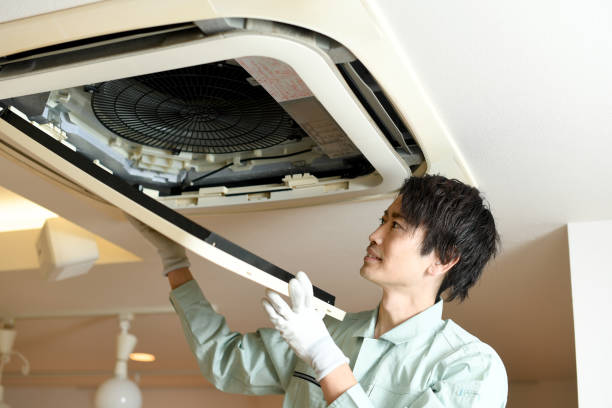 Best Air Duct Cleaning Near Me  in The Homesteads, TX