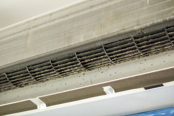 Best Commercial HVAC Duct Cleaning  in The Homesteads, TX